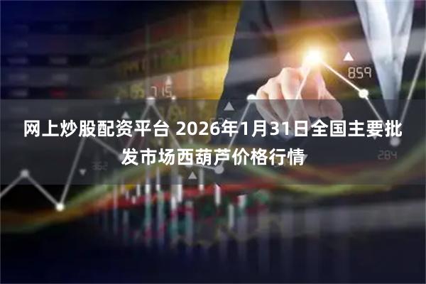 网上炒股配资平台 2026年1月31日全国主要批发市场西葫芦价格行情